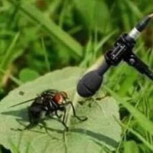 Meet your Posher, Timothy